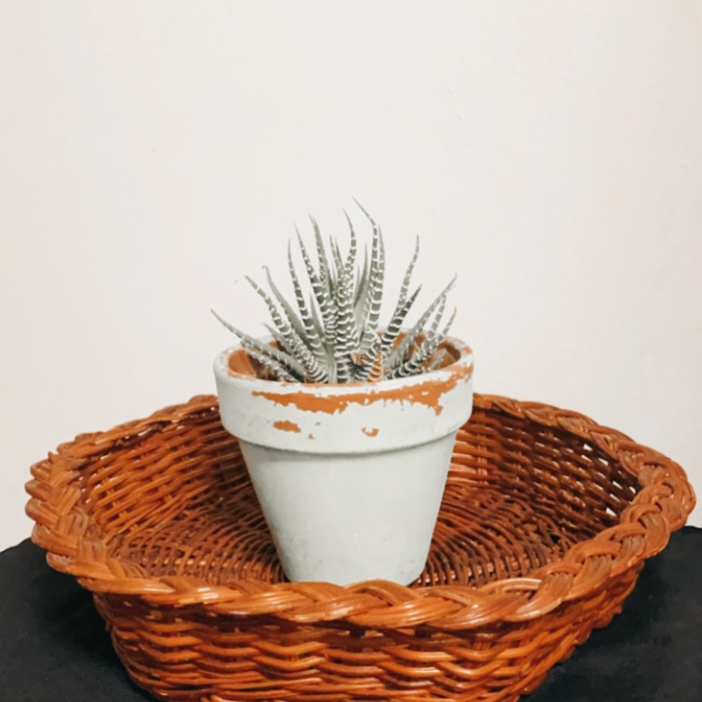 Basket - Picture 3 of 3